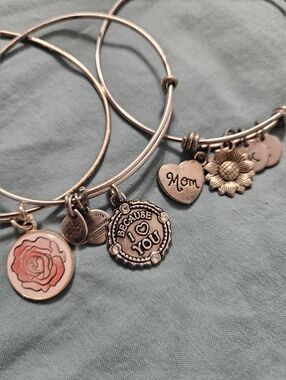 Curated Boho (3) Alex and Ani Silver Tone Charm Bangle Bracelets